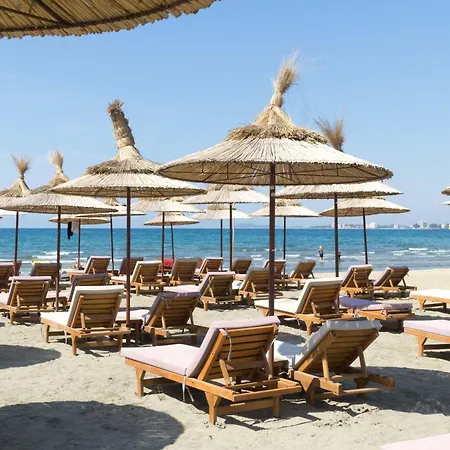 Majestic View Palm - Happy * Vlorë