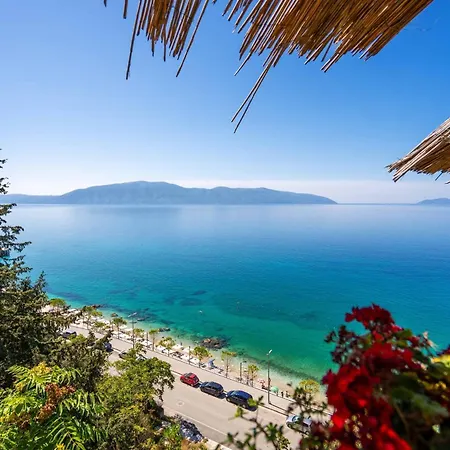 Majestic View Palm - Happy Vlorë